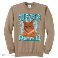 Consider Your Pants Peed Silly Cat Meme Sweatshirt thumb 0