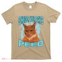 Consider Your Pants Peed Silly Cat Meme T-Shirt thumb 0