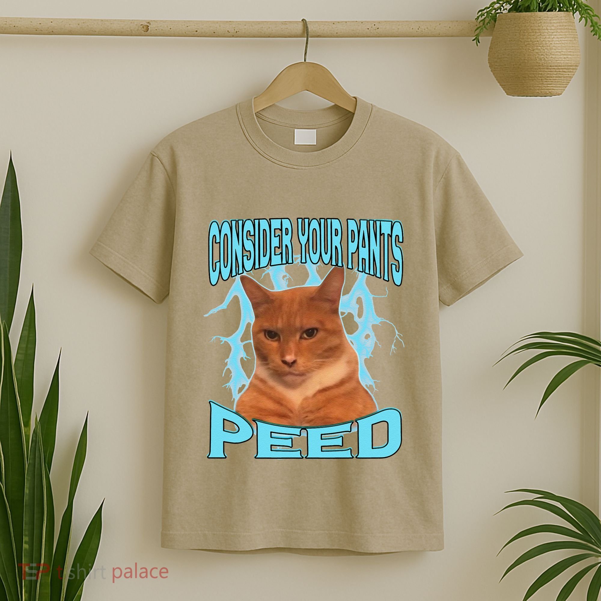 Consider Your Pants Peed Silly Cat Meme T-Shirt