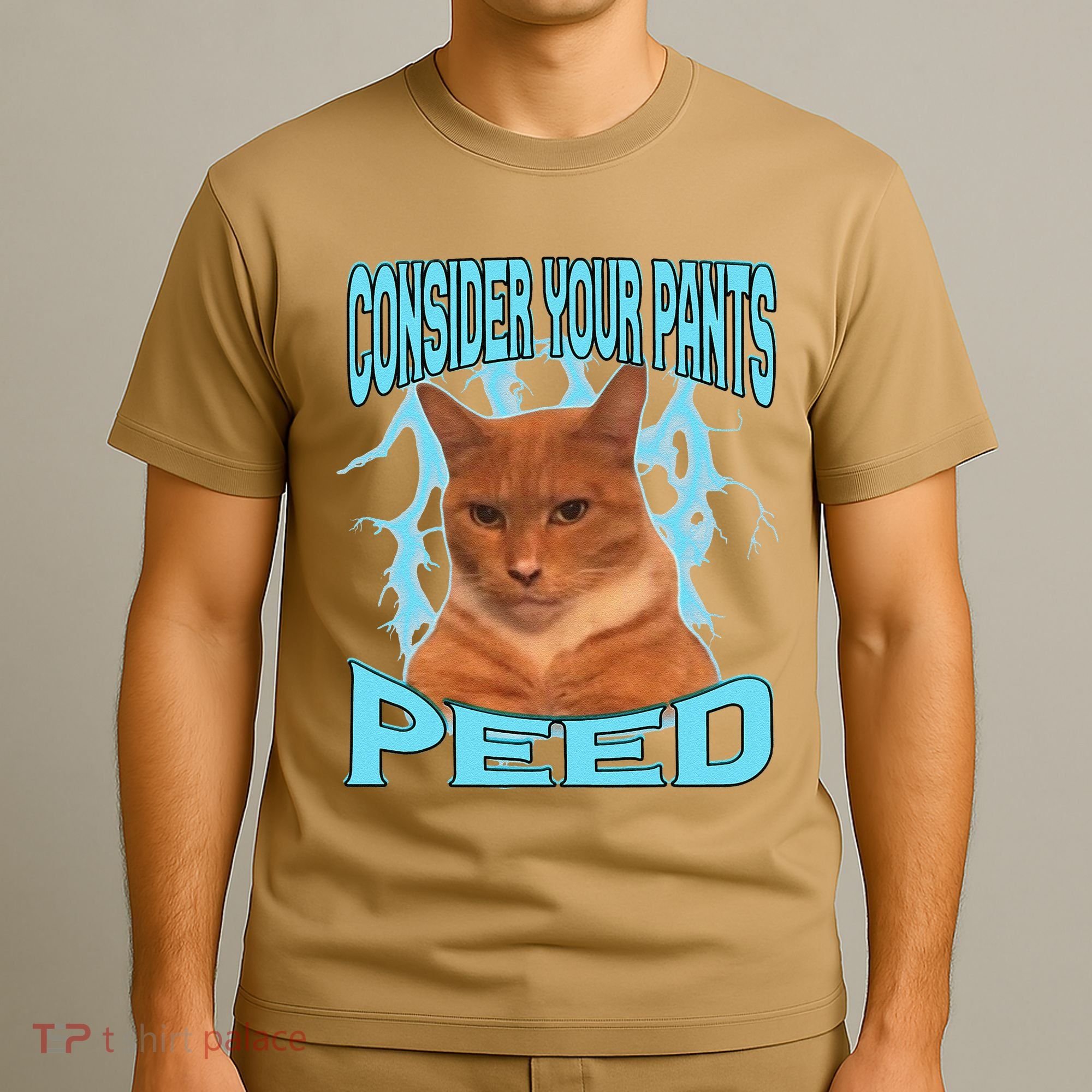 Consider Your Pants Peed Silly Cat Meme T-Shirt