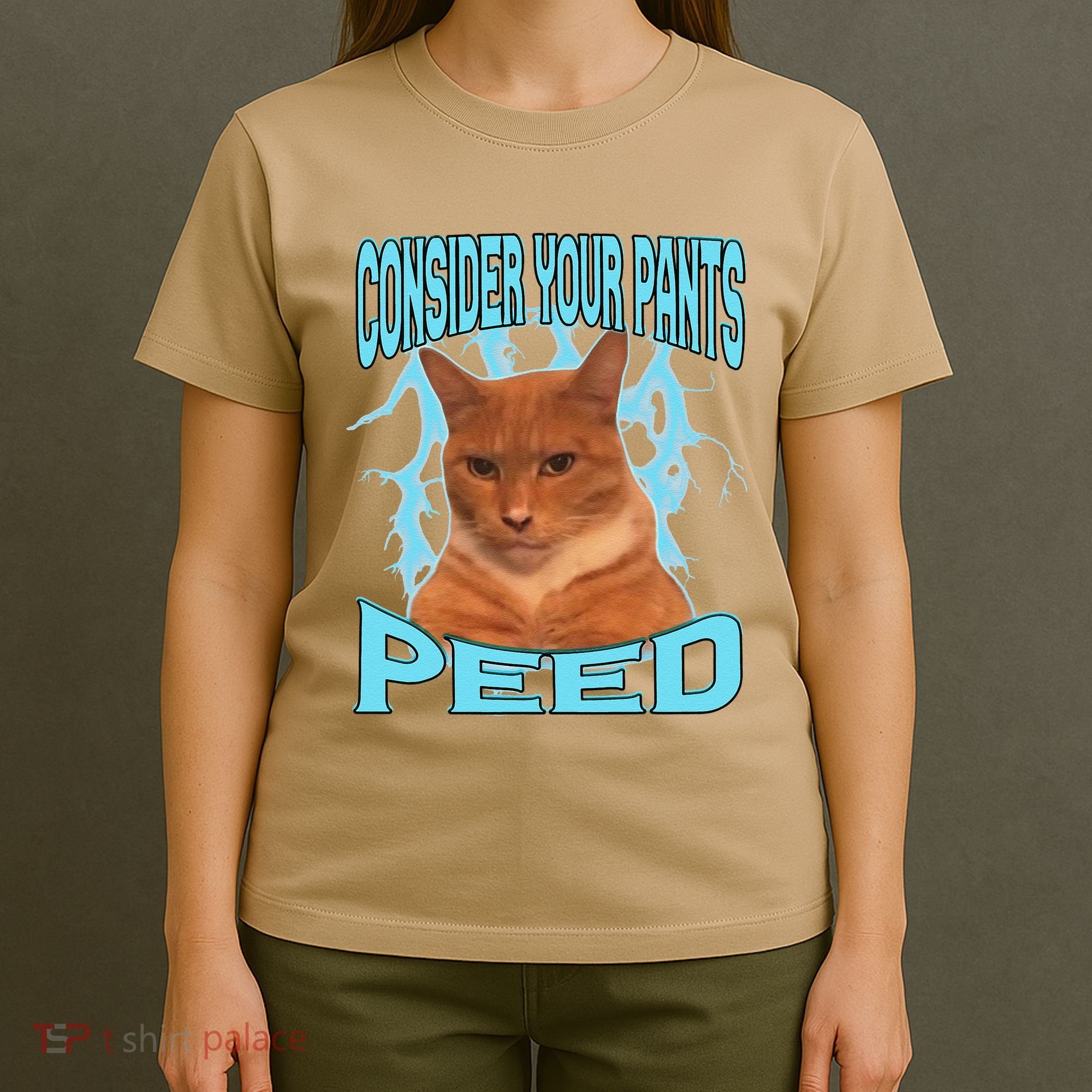 Consider Your Pants Peed Silly Cat Meme T-Shirt