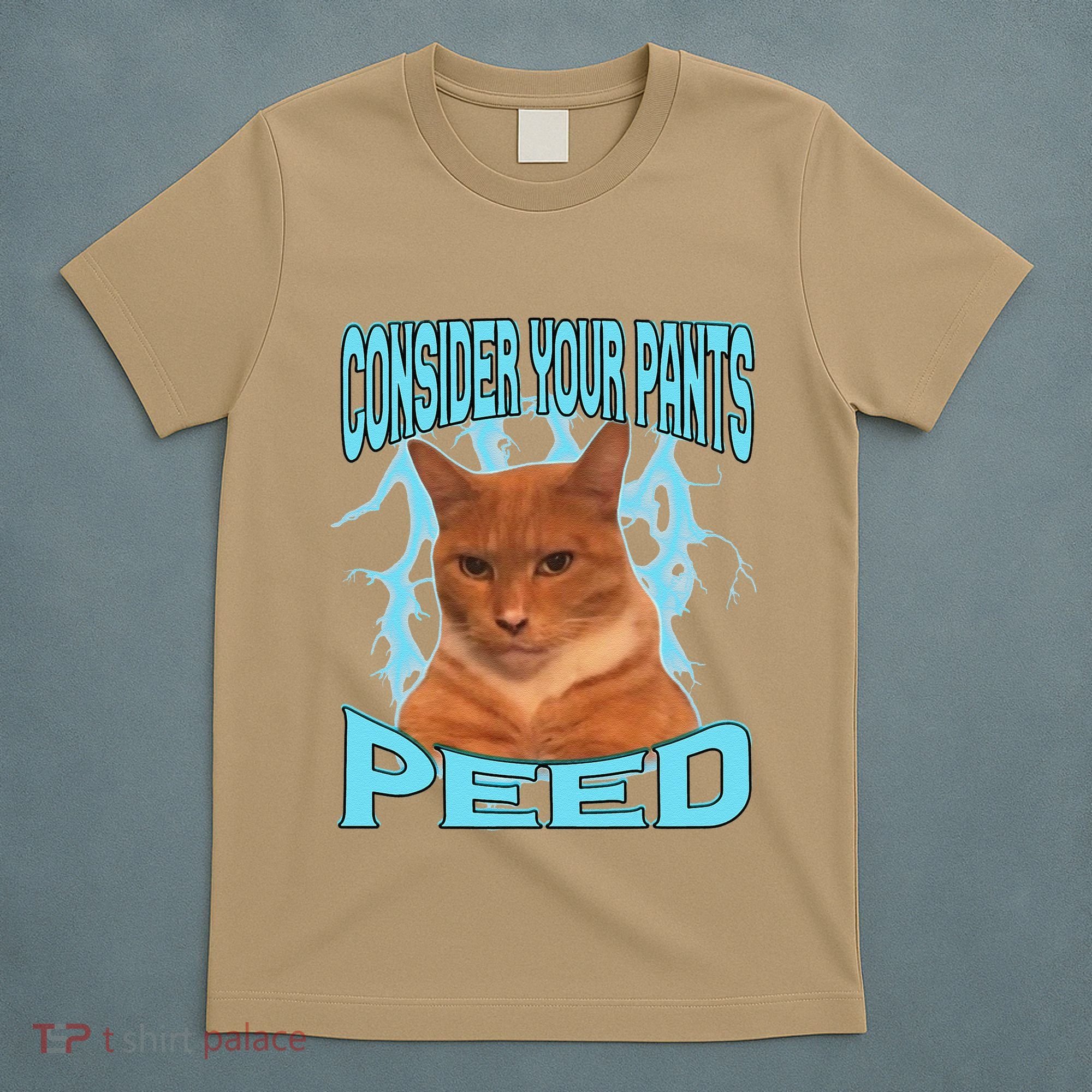 Consider Your Pants Peed Silly Cat Meme T-Shirt