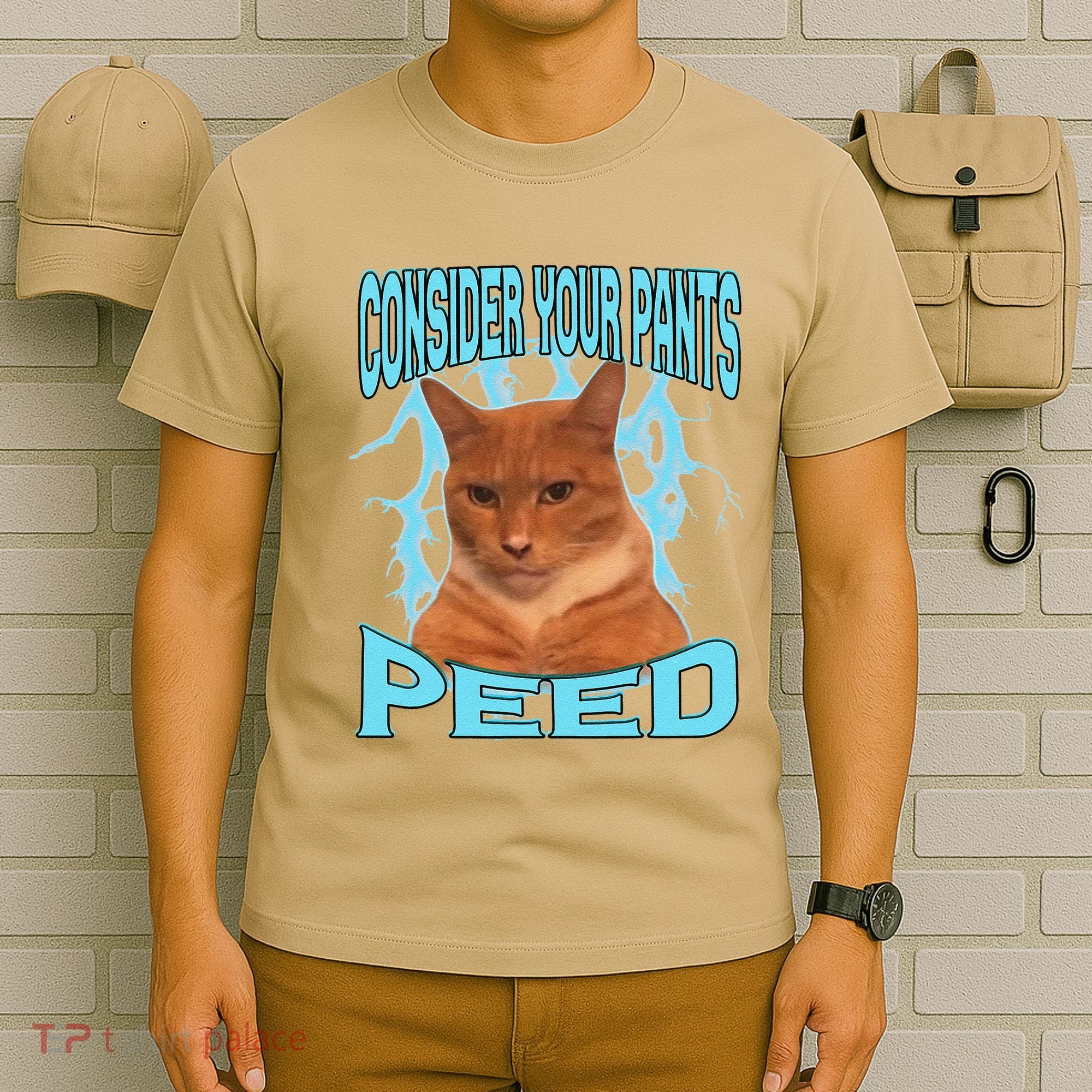 Consider Your Pants Peed Silly Cat Meme T-Shirt