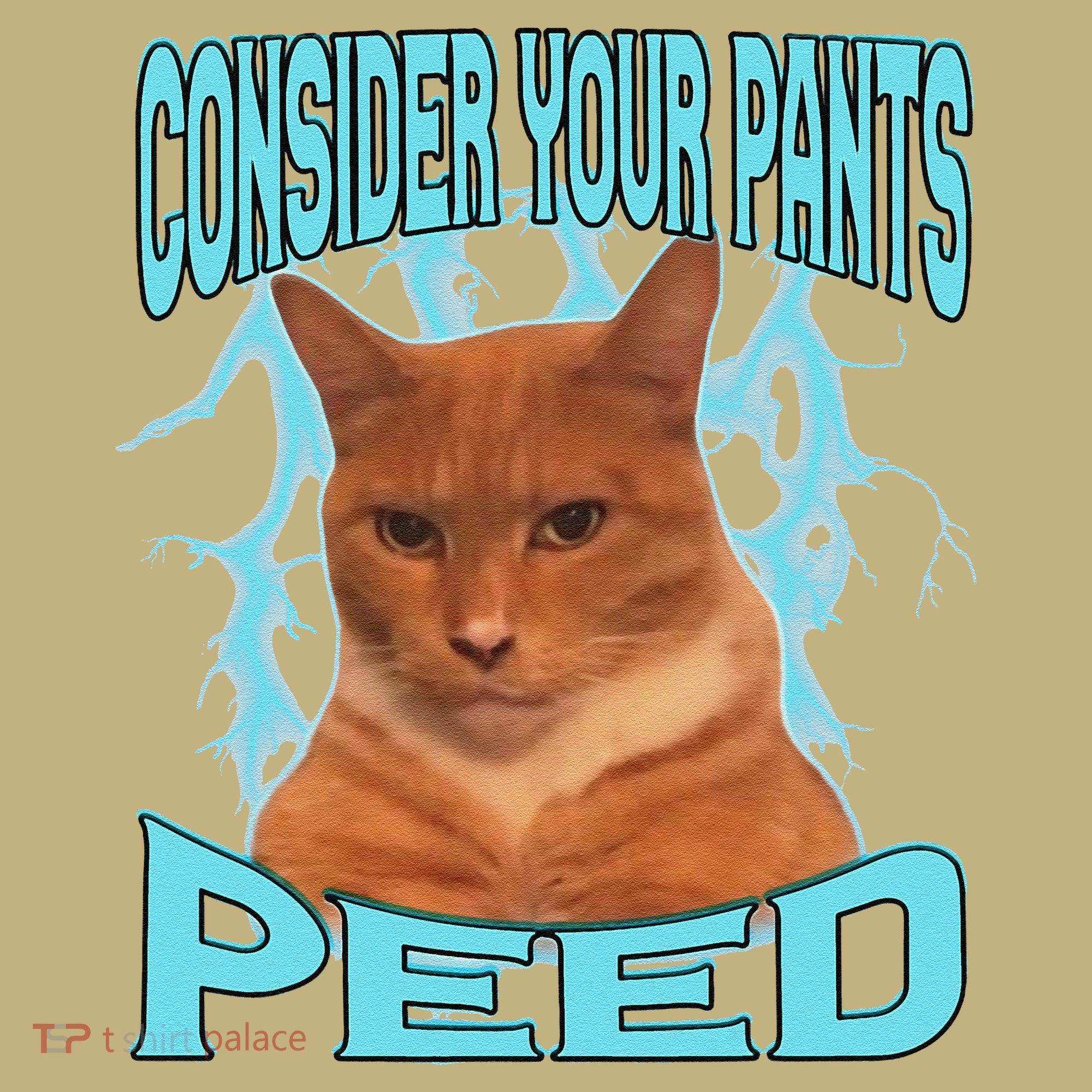 Consider Your Pants Peed Silly Cat Meme T-Shirt
