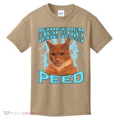 Consider Your Pants Peed Silly Cat Meme Kids T-Shirt