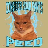 Consider Your Pants Peed Silly Cat Meme Kids T-Shirt thumb 2