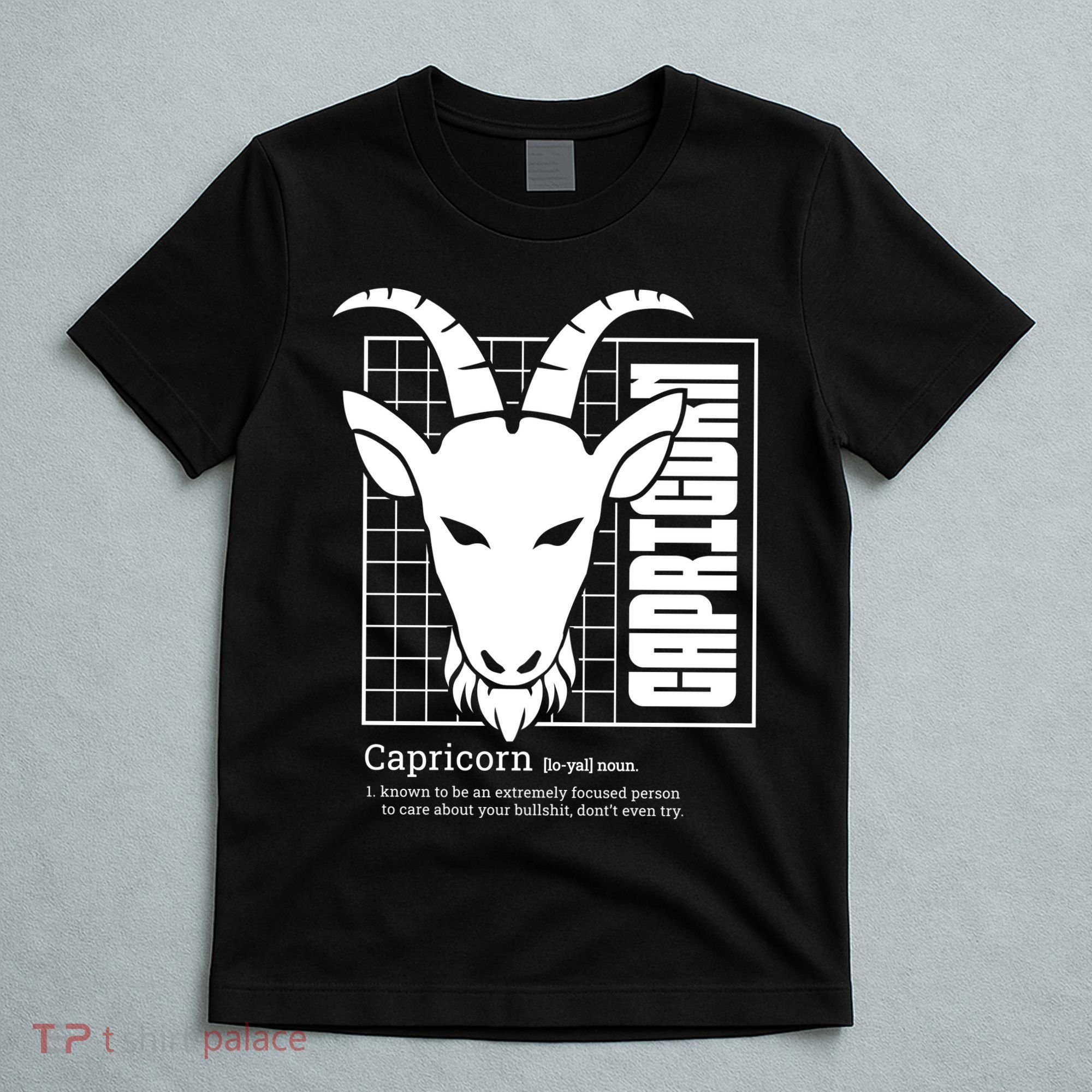 Capricorn Zodiac Definition T-Shirt