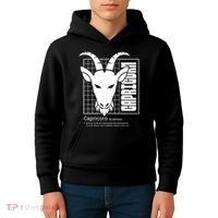 Capricorn Zodiac Definition Kids Hoodie thumb 4