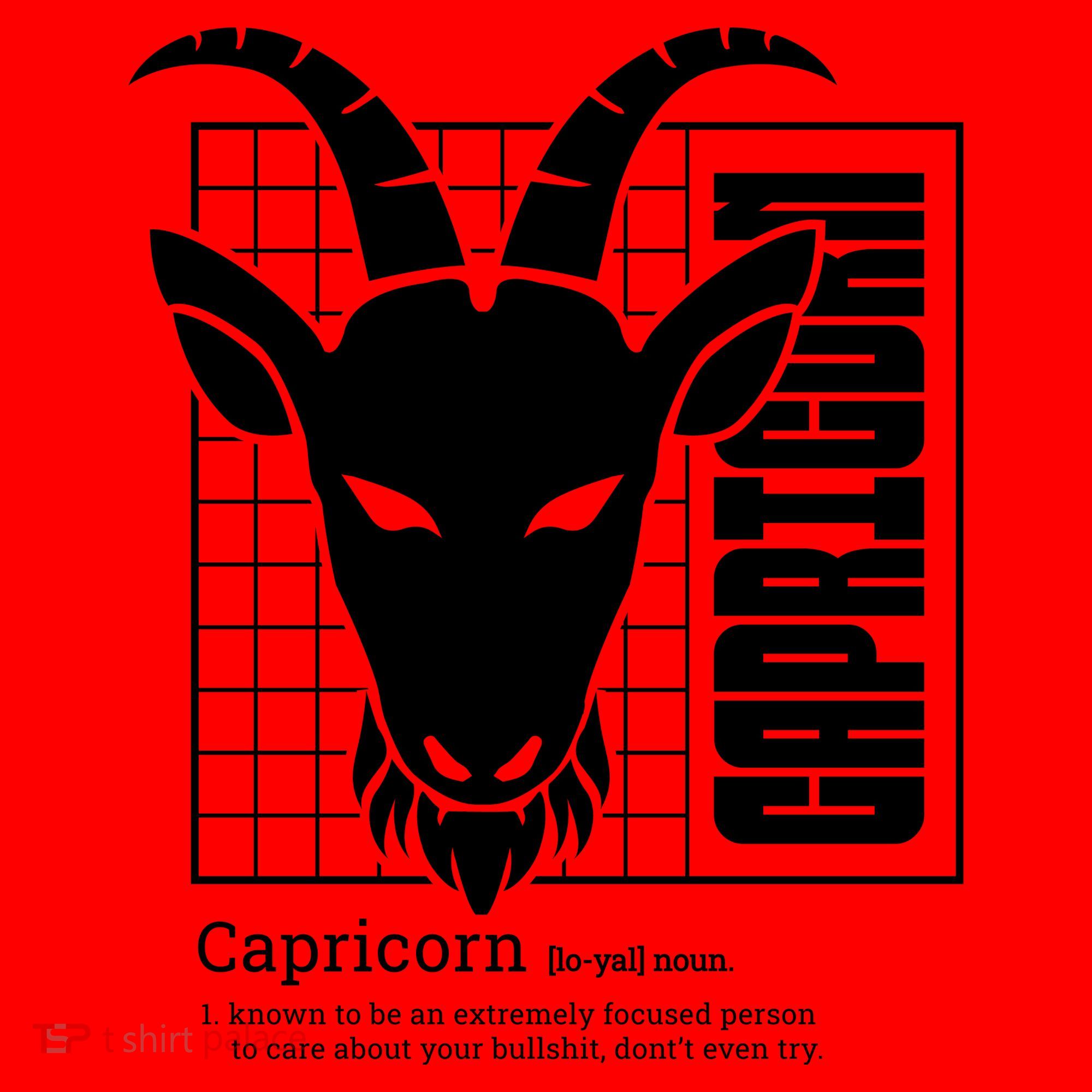 Capricorn Zodiac Definition Santa Hat