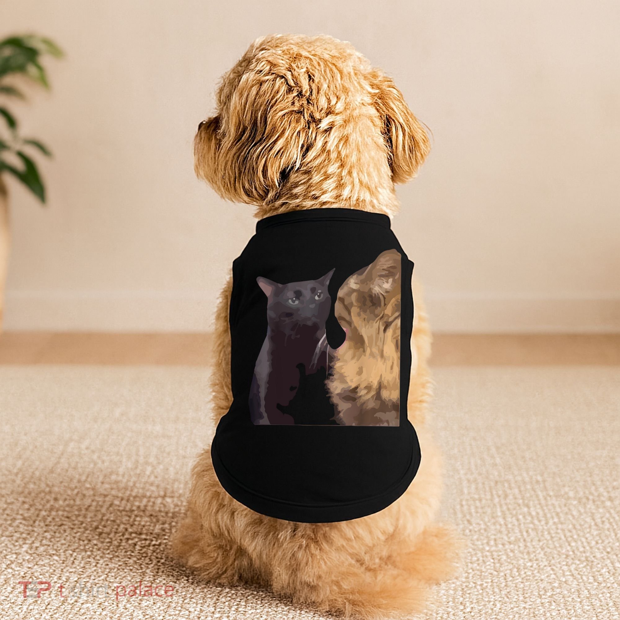 Cat Zoning Out Meme Popular Internet Meme Doggie Tank