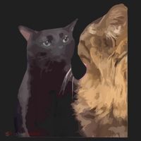 Cat Zoning Out Meme Popular Internet Meme Hat thumb 2