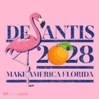 Desantis 2028 Make America Florida Ron Desantis 48 Mousepad thumb 1