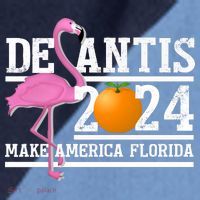 DeSantis 2024 Make America Florida Flamingo Election Raglan Baseball Sleeve Shirt thumb 2
