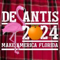 DeSantis 2024 Make America Florida Flamingo Election Men's Flannel Plaid Pajama Pants thumb 2