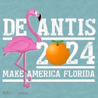 DeSantis 2024 Make America Florida Flamingo Election Sueded Cloud Jersey T-Shirt thumb 2