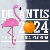 DeSantis 2024 Make America Florida Flamingo Election Sport-Tek Competitor United Soccer Jersey thumb 4