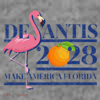Desantis 2028 Make America Florida Ron Desantis 48 Flamingo Toddler Hoodie thumb 2