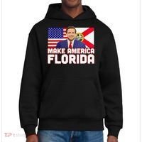 DeSantis 2024 Make America Florida DeSantis 2024 District V.I.T. Heavyweight Hoodie thumb 0