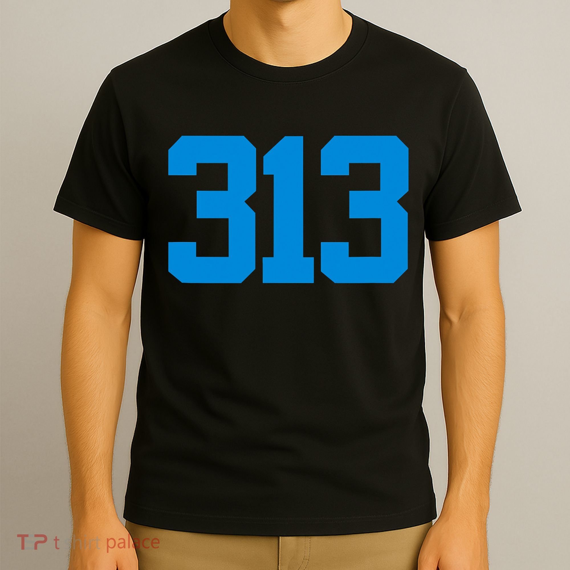 Detroit 313 Area Code GRIT Sports Fan Detroiter Fan T-Shirt