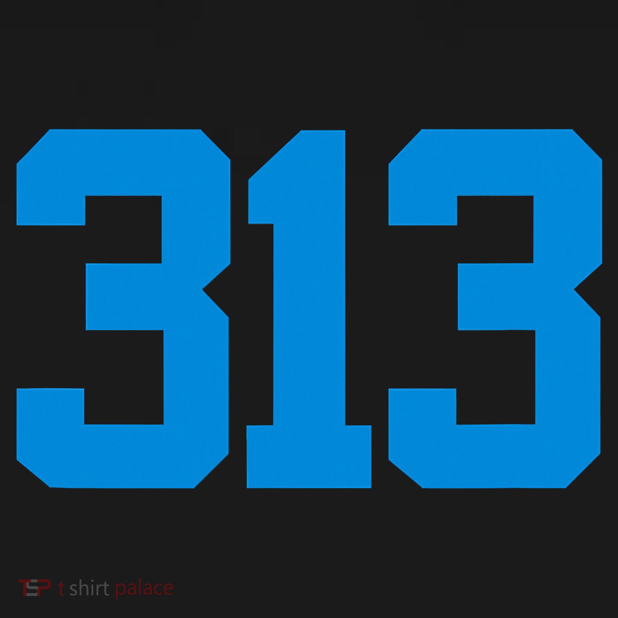 Detroit 313 Area Code GRIT Sports Fan Detroiter Fan Women's Tank Top