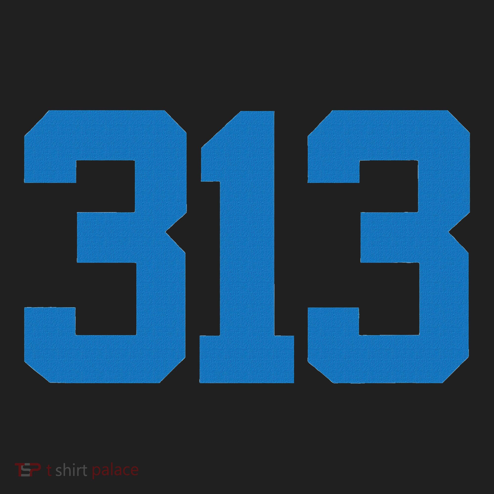 Detroit 313 Area Code Sports Fan Detroit Fan Women's Sweatshirt