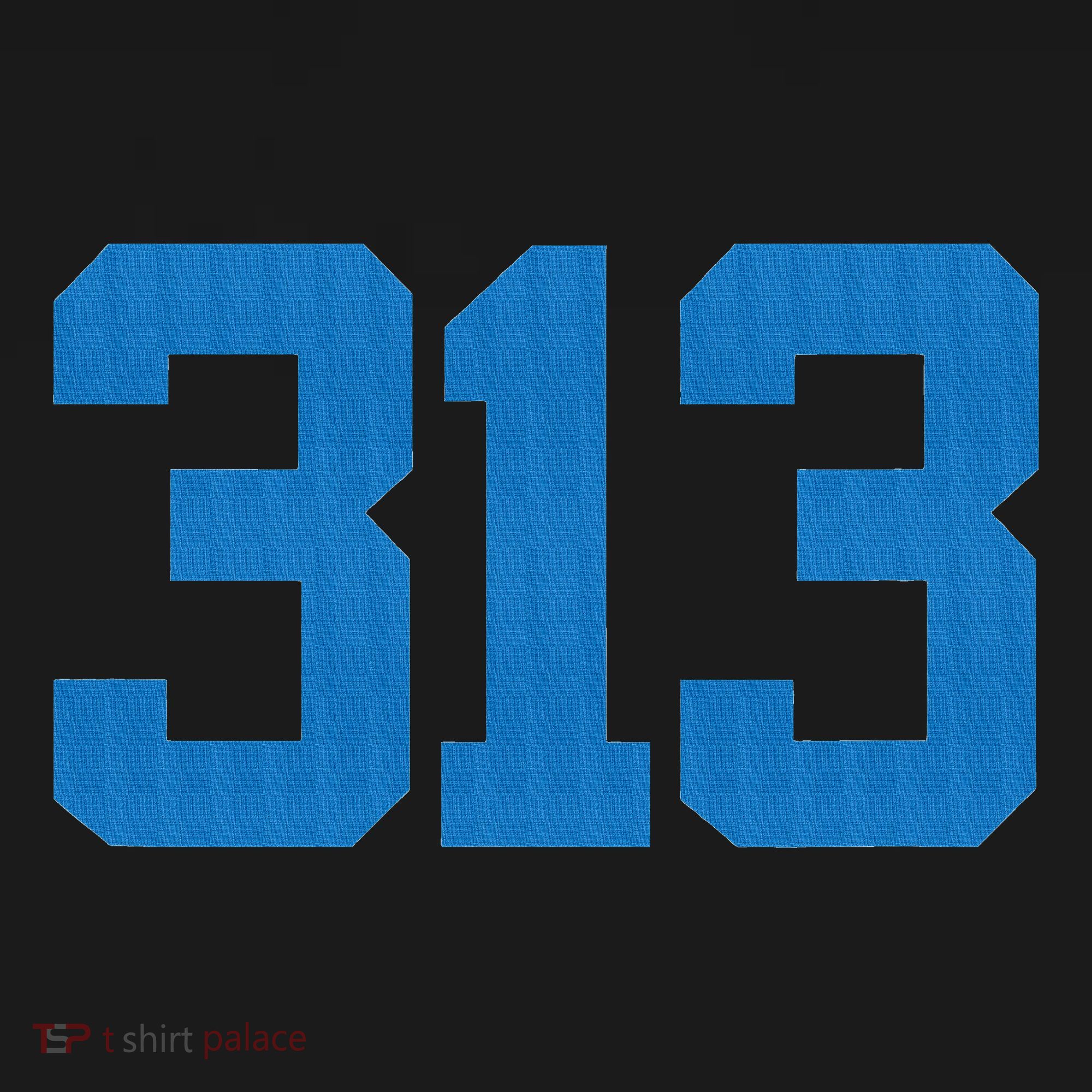 Detroit 313 Area Code Sports Fan Detroit Fan Women's Hoodie