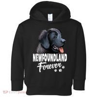 Dogs 365 Newfoundland Forever Cute Dog Lover Gift Toddler Hoodie thumb 0