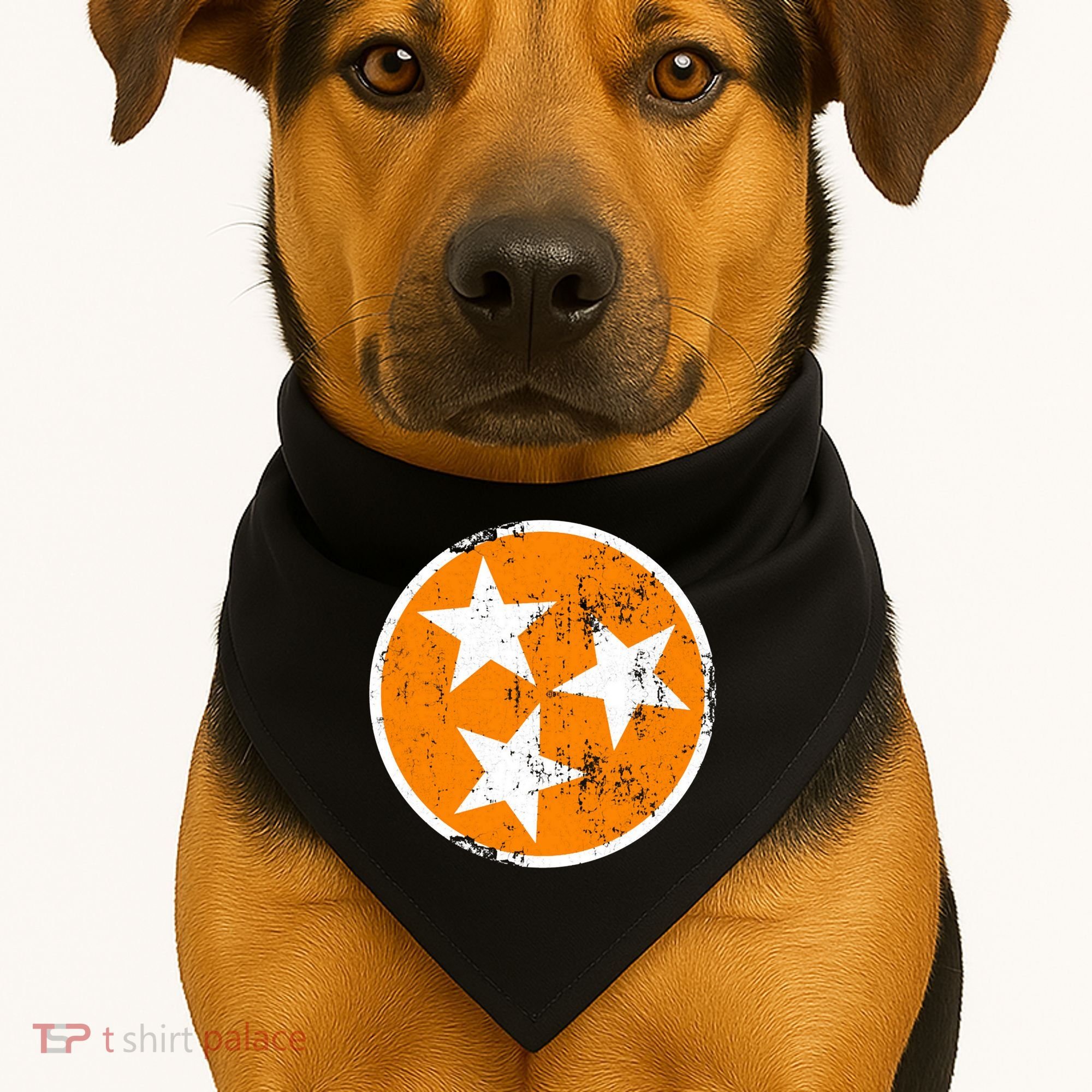Distressed 3 Star Tn State Orange And White Tennessee Flag USA-Made Doggie Bandana