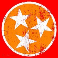 Distressed 3 Star Tn State Orange And White Tennessee Flag Santa Hat thumb 1