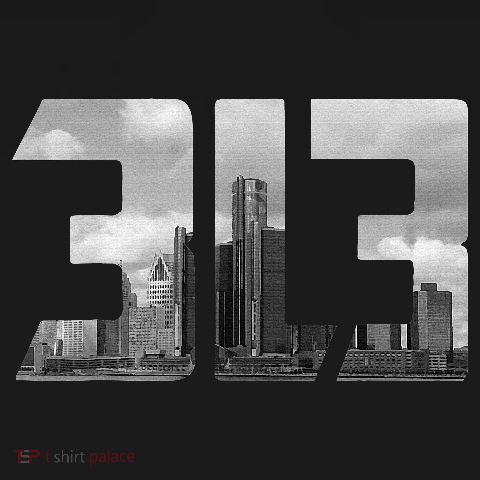 Detroit 313 Vintage T-Shirt