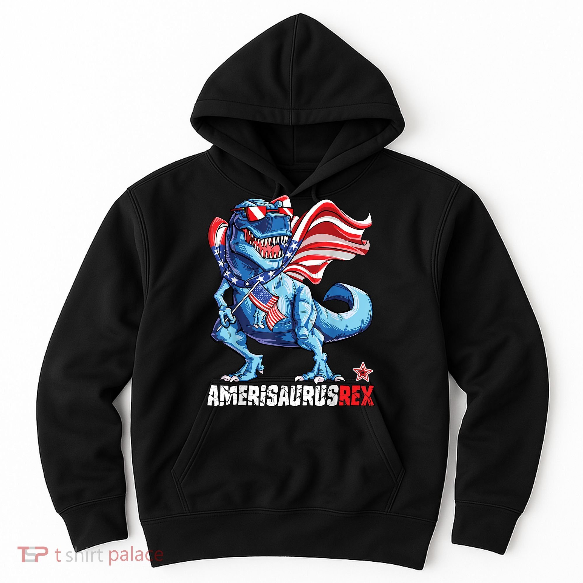 Dinosaur 4th Of July Amerisaurus T Rex Funny Hoodie
