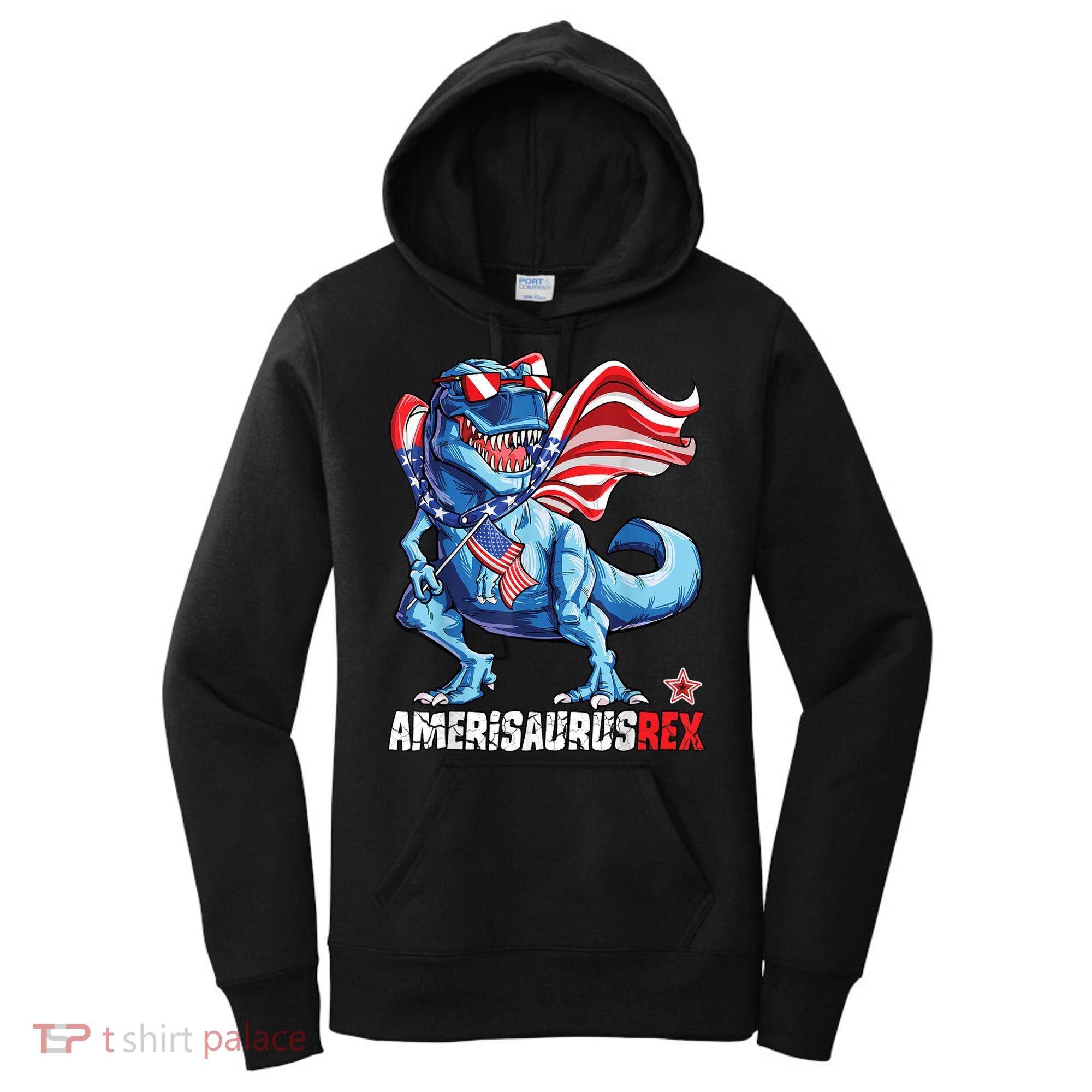 Dinosaur 4th Of July Amerisaurus T Rex Funny Women's Hoodie