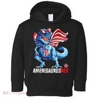 Dinosaur 4th Of July Amerisaurus T Rex Funny Toddler Hoodie thumb 0