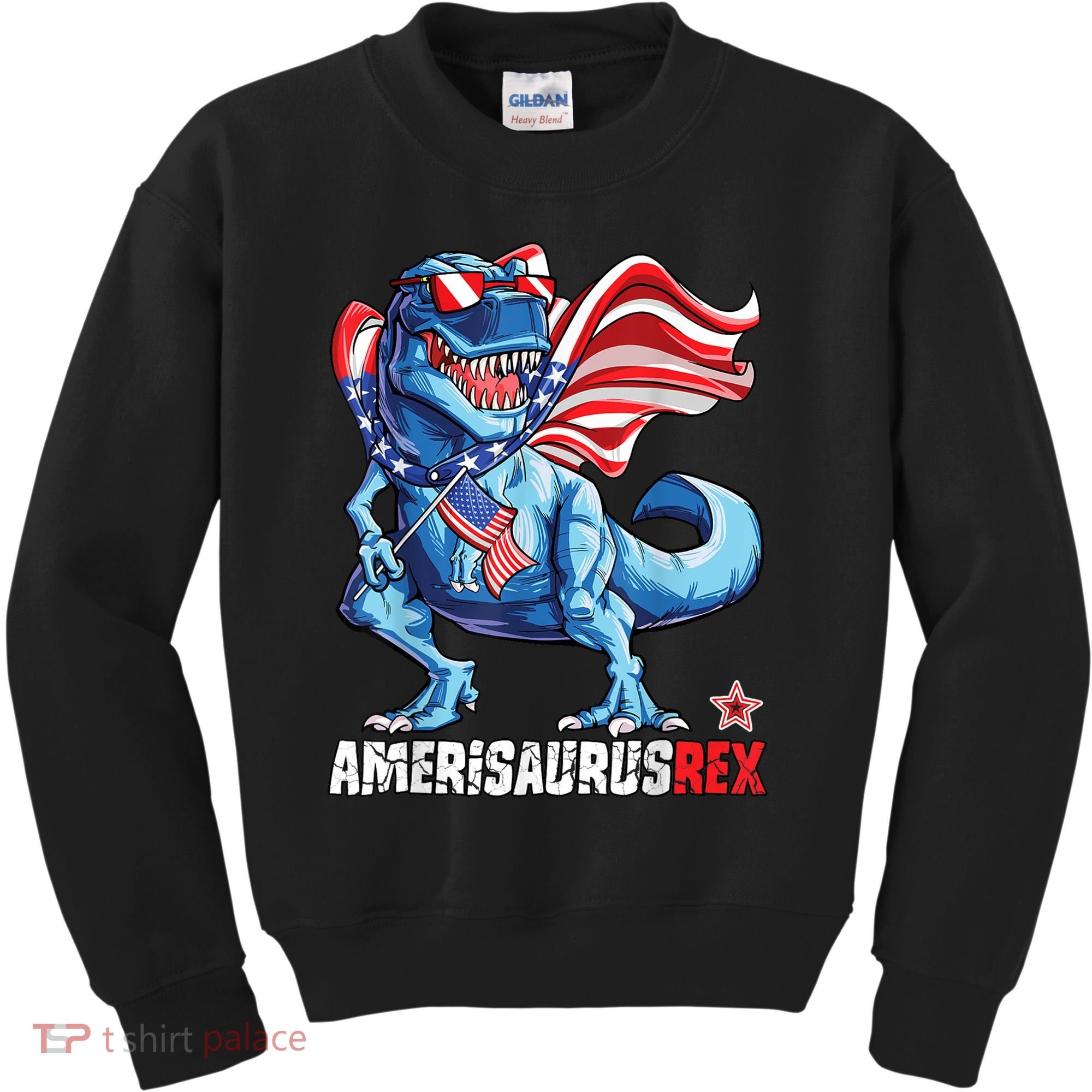Dinosaur 4th Of July Amerisaurus T Rex Funny Kids Sweatshirt