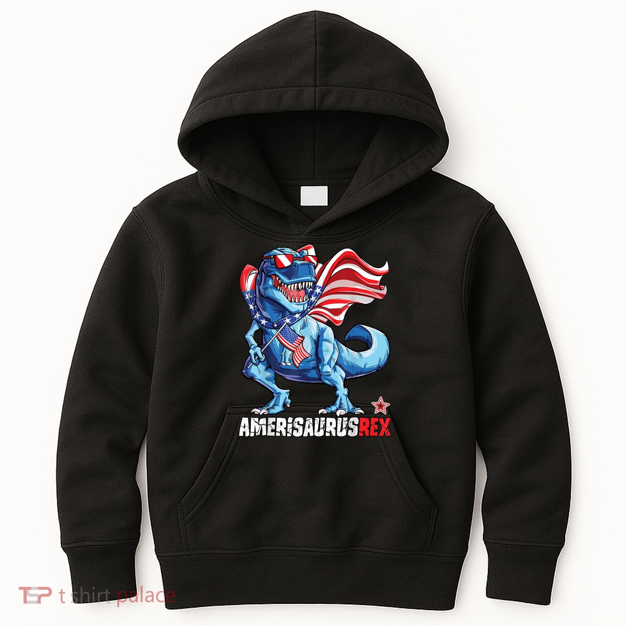 Dinosaur 4th Of July Amerisaurus T Rex Funny Kids Hoodie