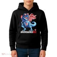 Dinosaur 4th Of July Amerisaurus T Rex Funny Kids Hoodie thumb 4