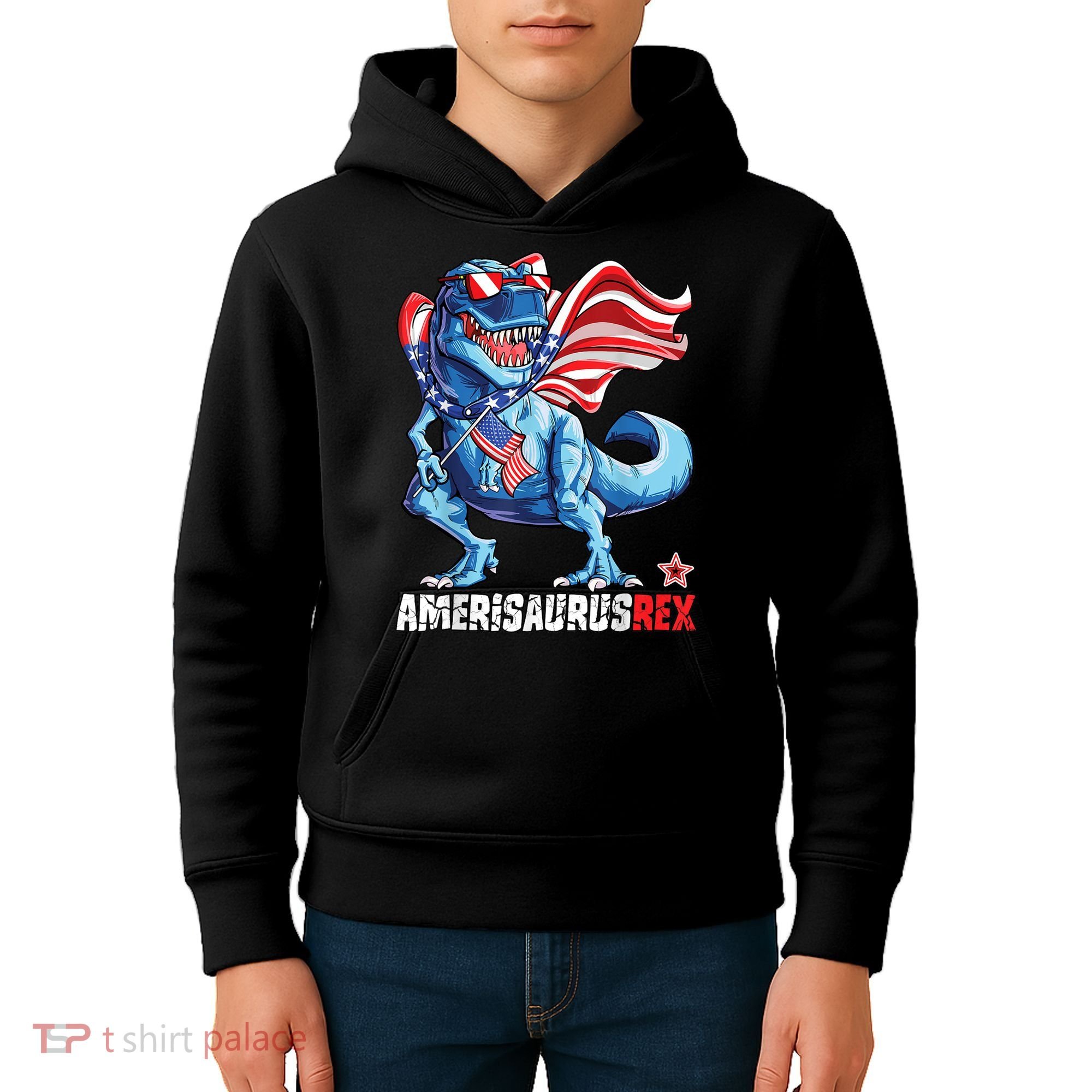 Dinosaur 4th Of July Amerisaurus T Rex Funny Kids Hoodie