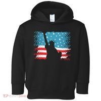 Distressed 4th Of July Liberty Flag Toddler Hoodie thumb 0