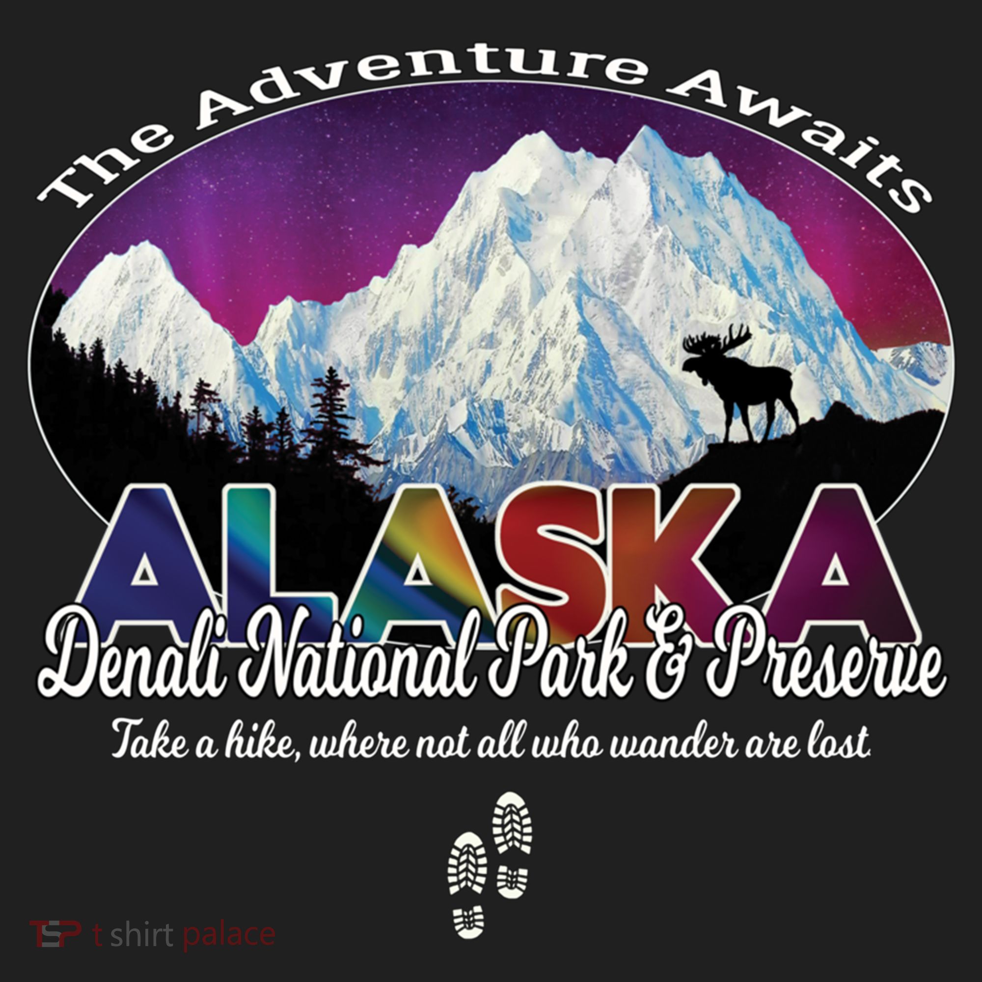 Denali Alaska Aurora Borealis National Park Hiker Souvenir Cute Gift Women's Sweatshirt
