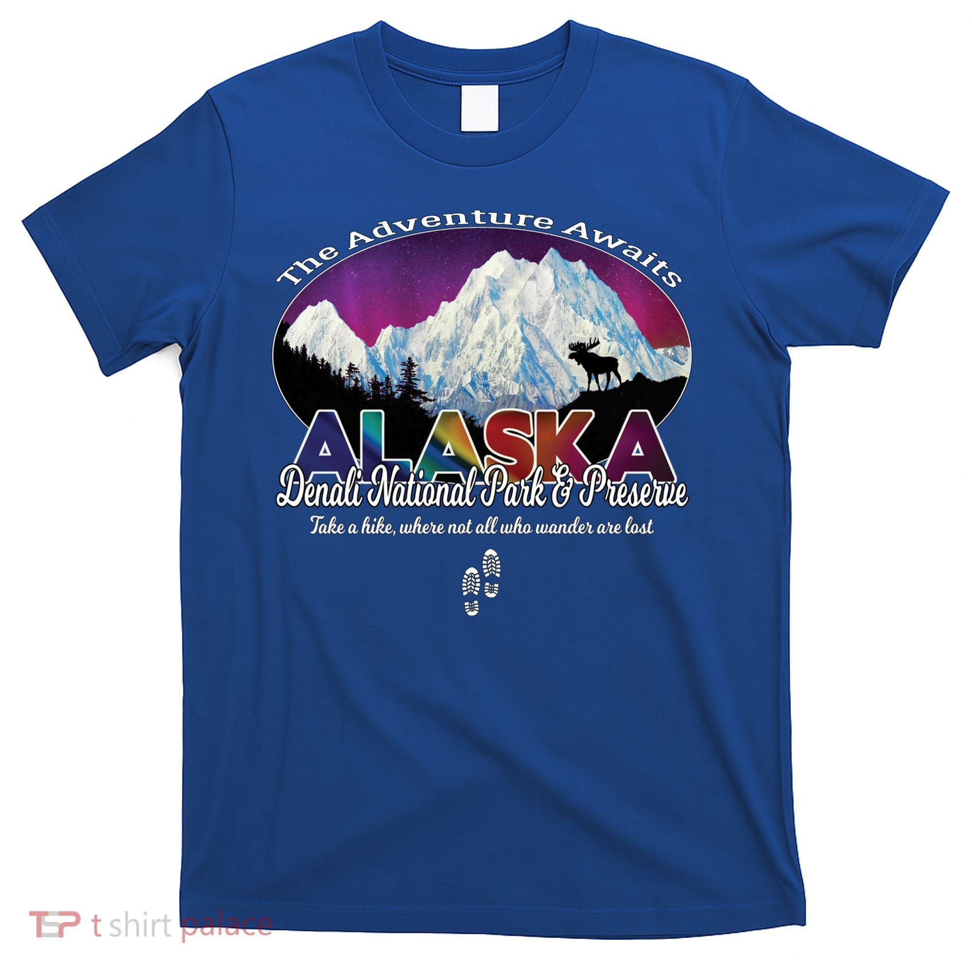 Denali Alaska Aurora Borealis National Park Hiker Souvenir Cute Gift T-Shirt