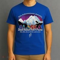 Denali Alaska Aurora Borealis National Park Hiker Souvenir Cute Gift T-Shirt thumb 3