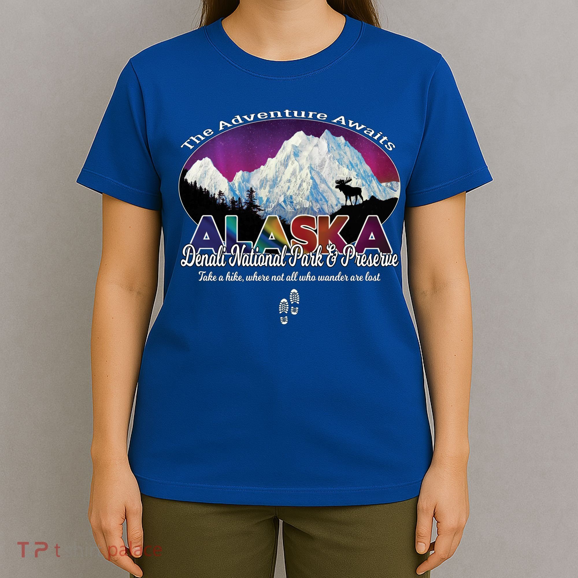 Denali Alaska Aurora Borealis National Park Hiker Souvenir Cute Gift T-Shirt