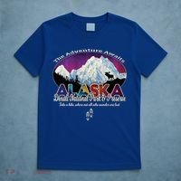 Denali Alaska Aurora Borealis National Park Hiker Souvenir Cute Gift T-Shirt thumb 5