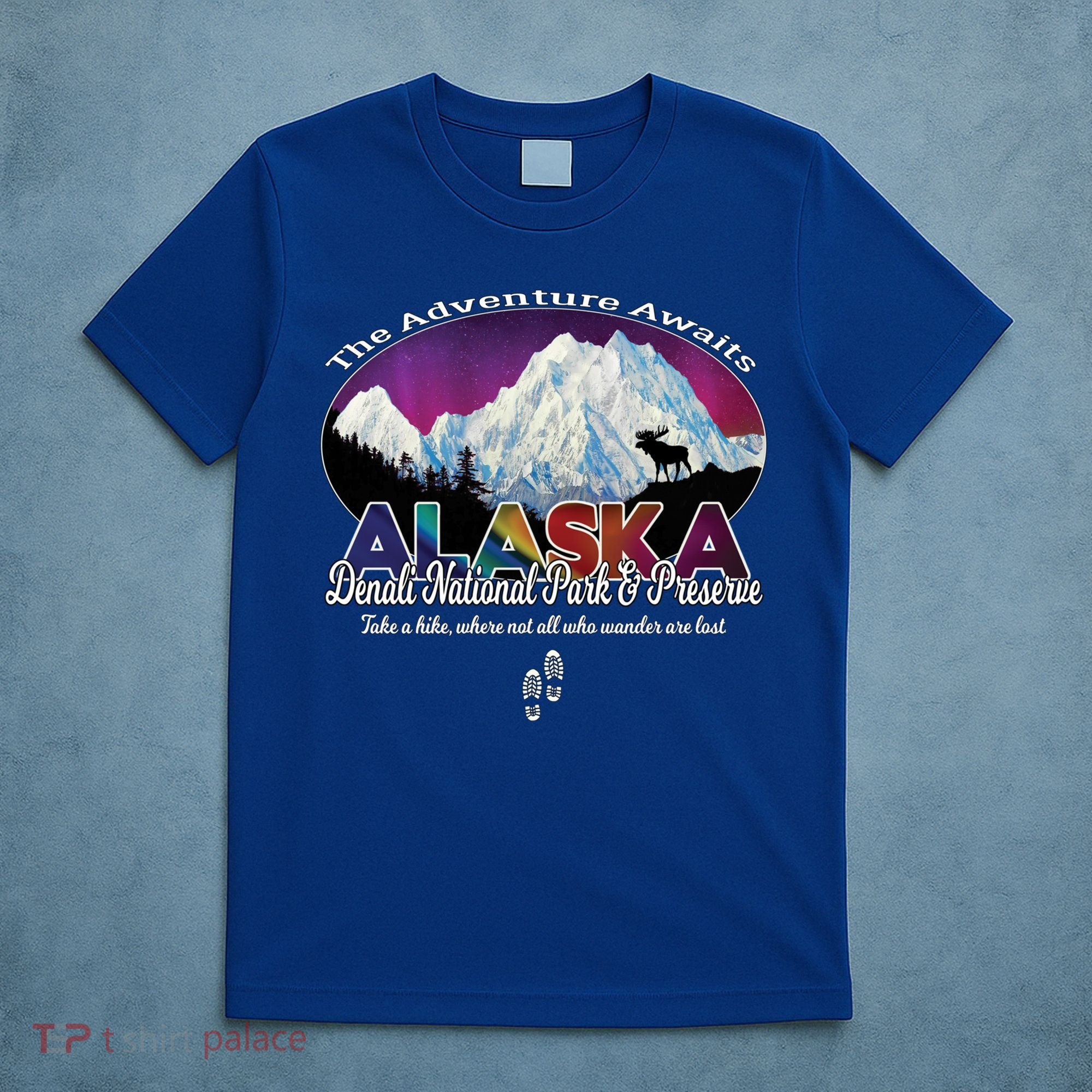 Denali Alaska Aurora Borealis National Park Hiker Souvenir Cute Gift T-Shirt