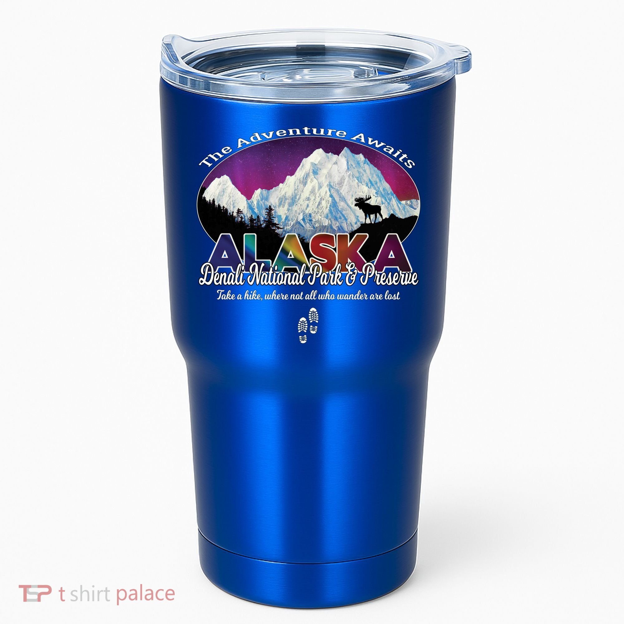 Denali Alaska Aurora Borealis National Park Hiker Souvenir Cute Gift Tumbler