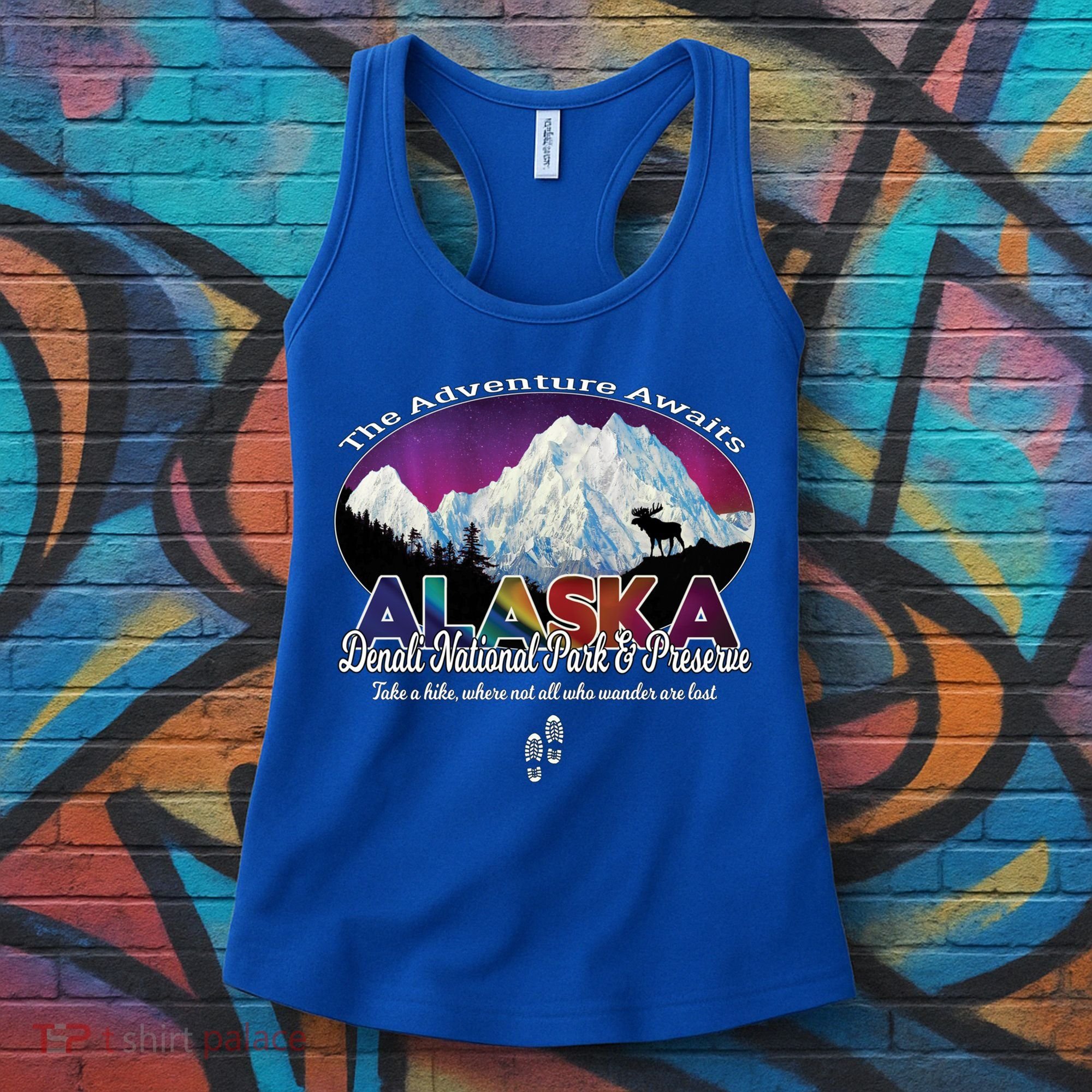 Denali Alaska Aurora Borealis National Park Hiker Souvenir Cute Gift Women's Tank Top