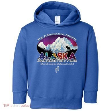Denali Alaska Aurora Borealis National Park Hiker Souvenir Cute Gift Toddler Hoodie