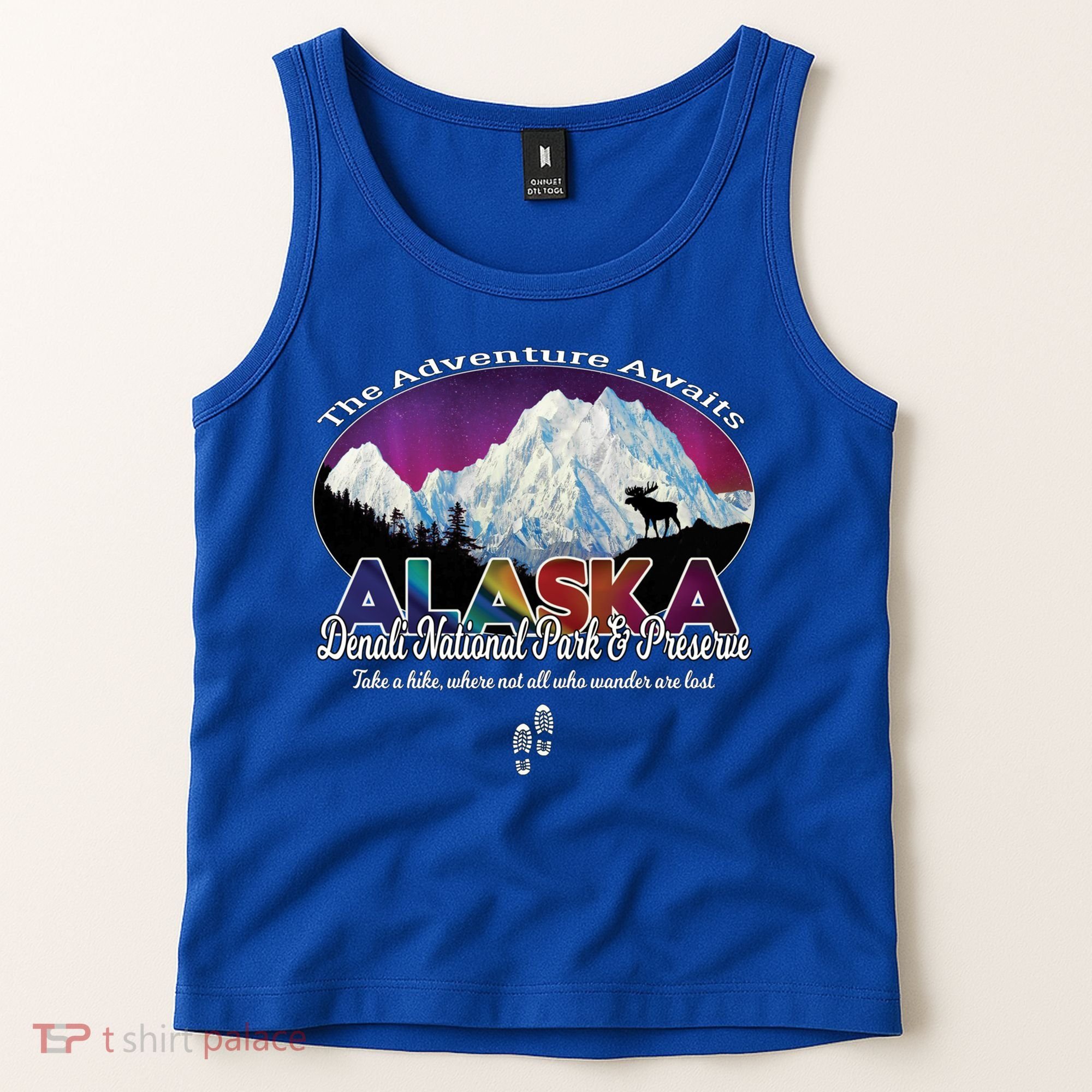 Denali Alaska Aurora Borealis National Park Hiker Souvenir Cute Gift Tank Top