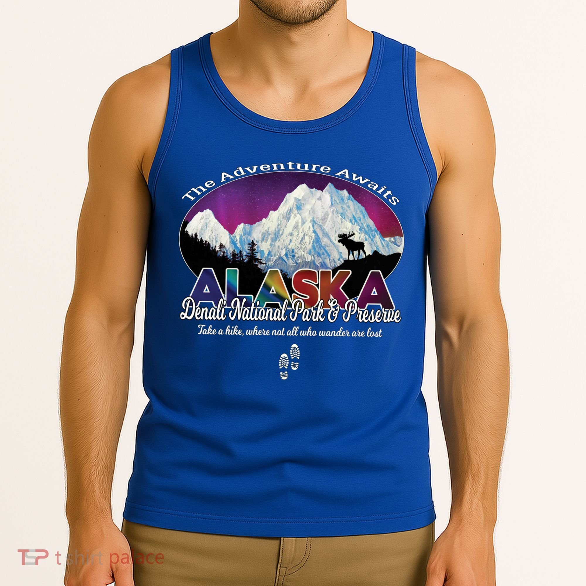 Denali Alaska Aurora Borealis National Park Hiker Souvenir Cute Gift Tank Top