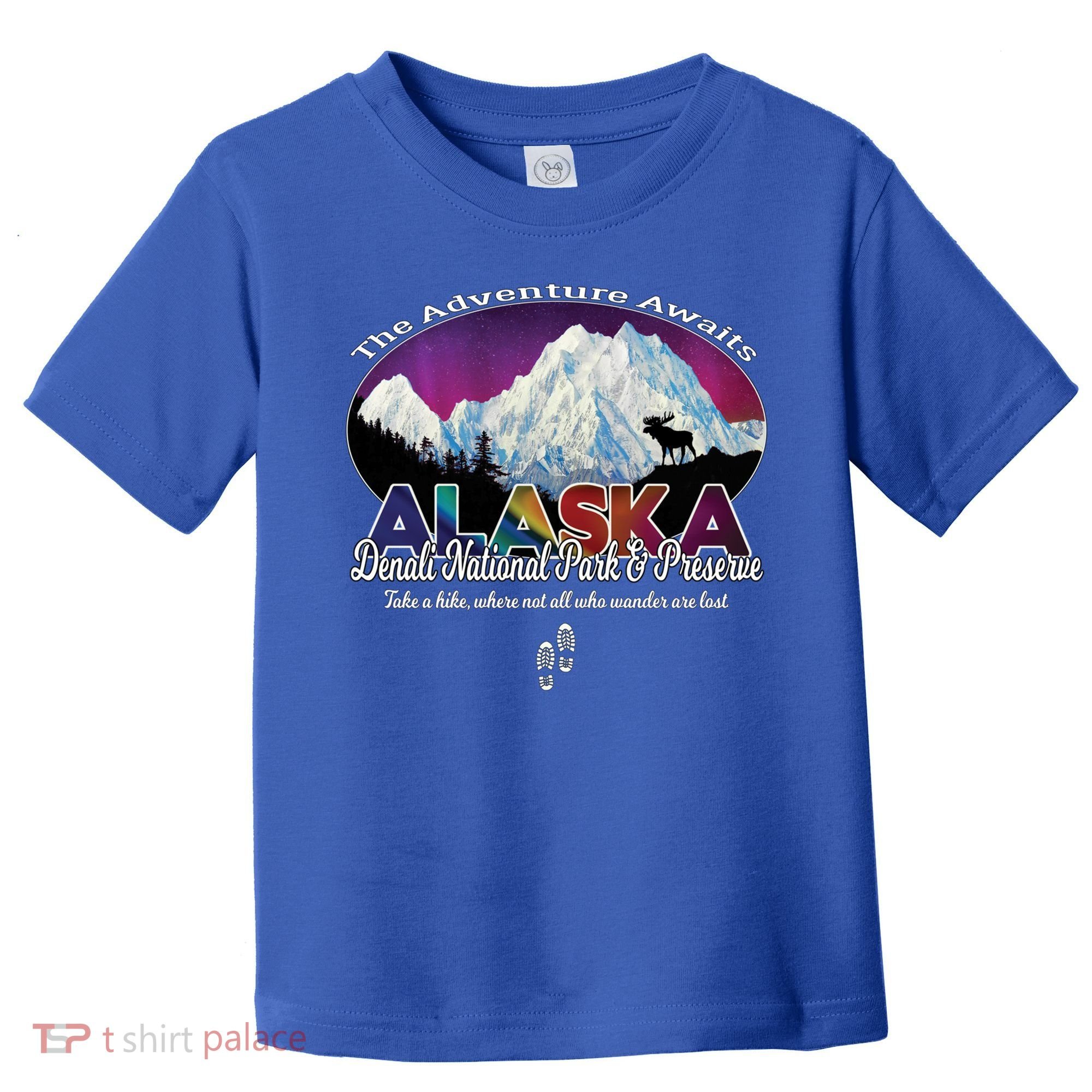 Denali Alaska Aurora Borealis National Park Hiker Souvenir Cute Gift Toddler T-Shirt